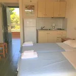 Apartment Galini And
